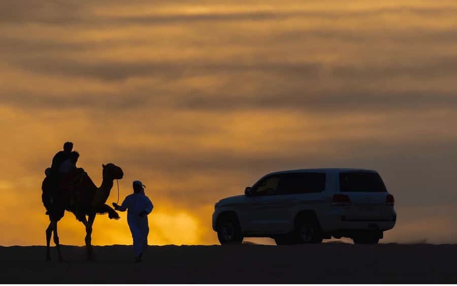 Doha Night Desert Safari Stargazing And Camel Ride - Is $24 good value?