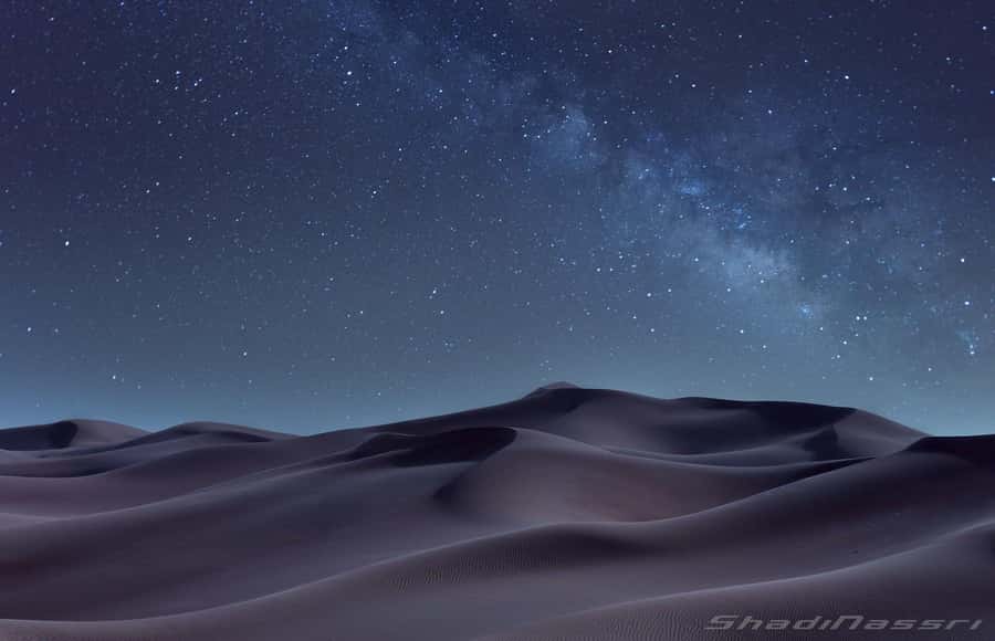 Doha Night Desert Safari Stargazing And Camel Ride - Who should book this night safari?