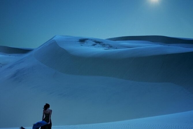 Doha Night Desert Safari Stargazing Dune Drive Camel Ride - The Inland Sea is the real scenic prize