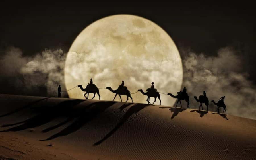 Doha: Night Desert Safari, Stargazing, Dune Driving &Inland - Key points to know before you book