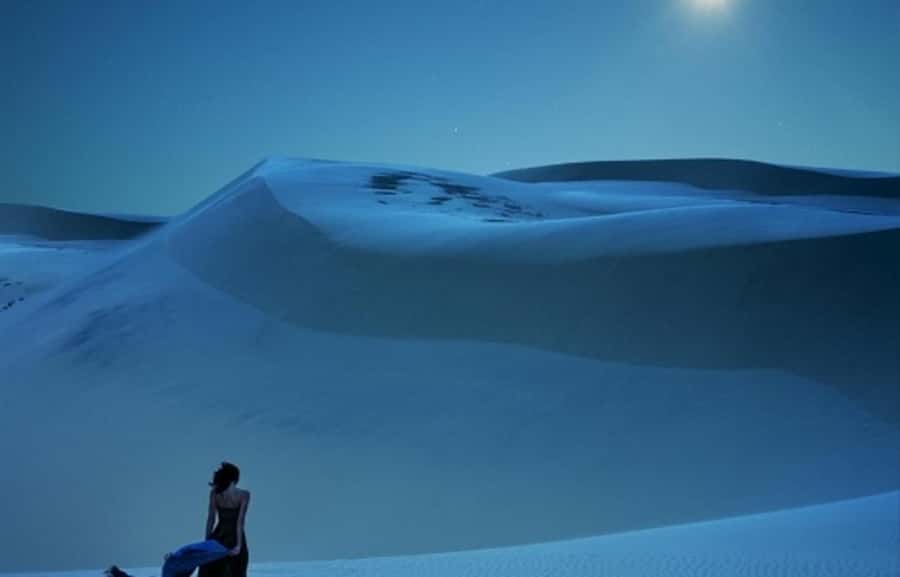 Doha: Night Desert Safari, Stargazing, Dune Driving &Inland - Sandboarding and the second run over the dunes