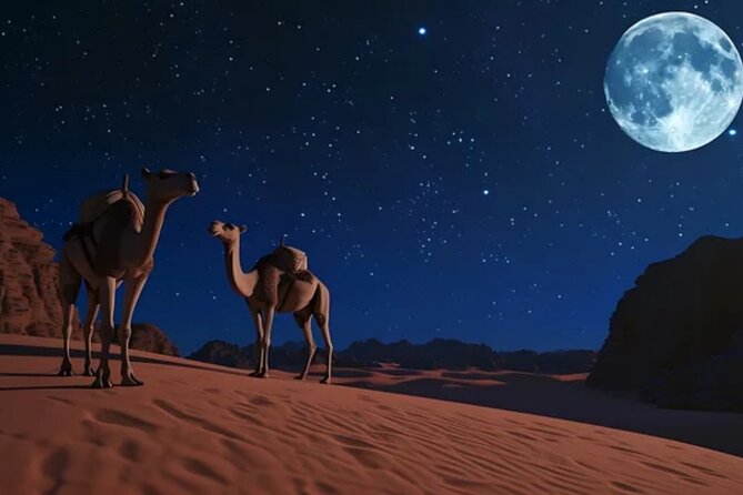 Doha Night Desert Safari, Stargazing, Photography، Relaxation - Camel riding for a slower pace
