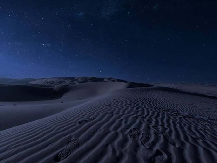 Doha: Night Desert Safari with Stargazing & Camel Ride - The main event: 100 minutes of dune bashing