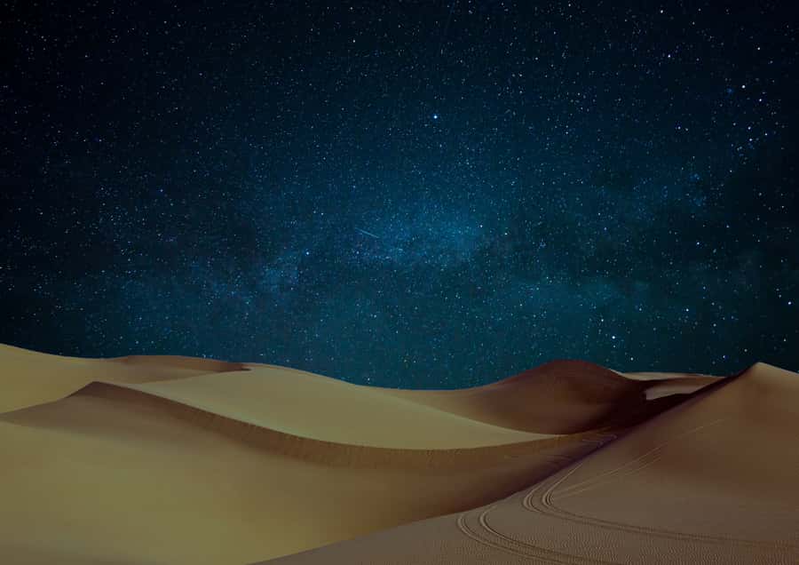 Doha: Night Desert Safari with Stargazing & Camel Ride - Stargazing away from Doha’s lights