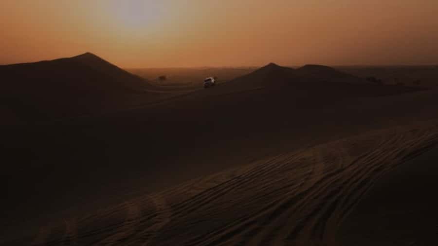 Doha: Night Desert Safari with Stargazing & Camel Ride - Who will enjoy this night safari most