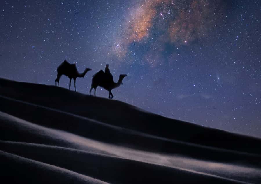 Doha: Night Desert Safari with Stargazing & Camel Ride - Should you book the Doha night desert safari?