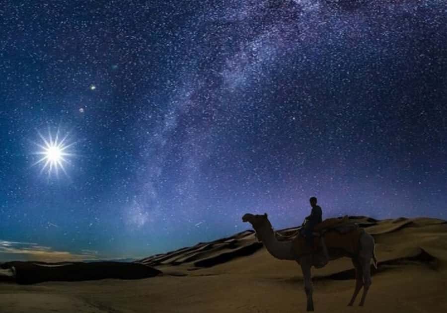 Doha: Night Desert Safari with Stargazing & Camel Ride - A short camel ride with tea at the desert camp