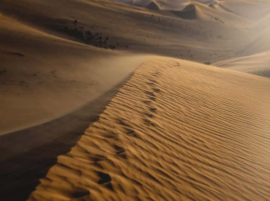 Doha: Nighttime Desert Safari with Dune Bashing & Camel Ride - The desert after dark: a quiet astronomy lesson
