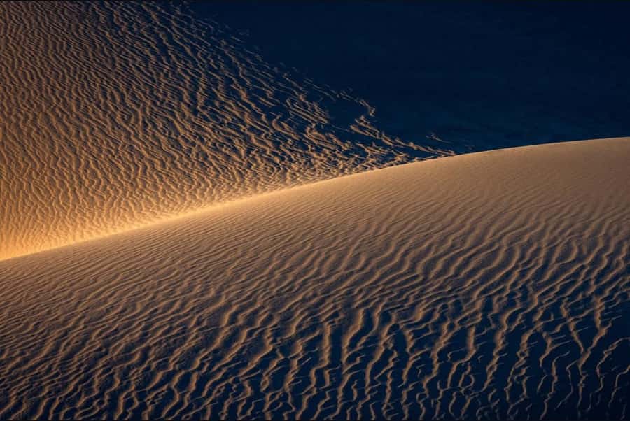Doha: Nighttime Desert Safari with Dune Bashing & Camel Ride - A traditional tent and a warm cup of tea