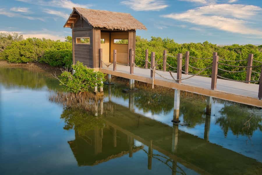 Doha North Qatar Tour Zubara Fort, Mangroves, Jumail Village - Key points to know before you go