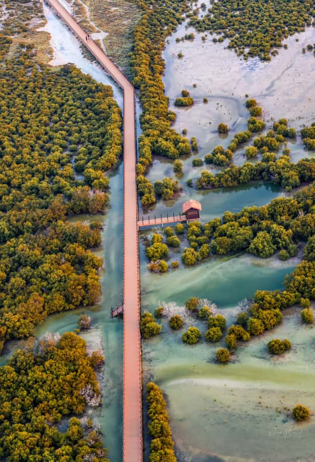 Doha North Qatar Tour Zubara Fort, Mangroves, Jumail Village - The 50-minute drive from Doha
