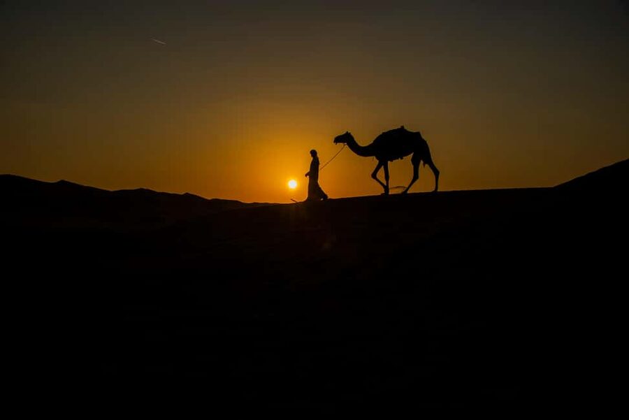 Doha: Overnight Desert Safari with Dinner and Breakfast - Barbecue dinner and a bonfire under the stars