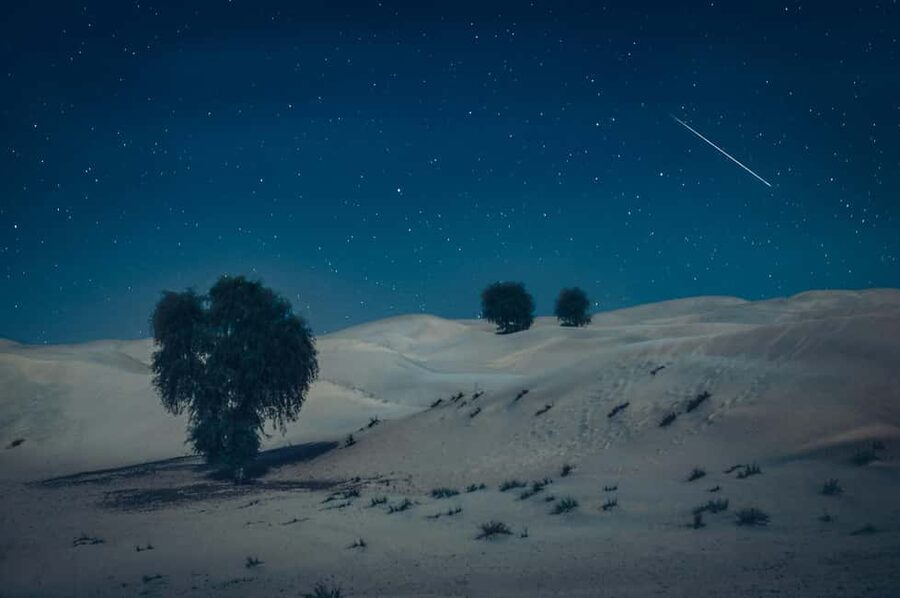 Doha: Overnight Desert Safari with Dinner and Breakfast - What the $207 price really covers