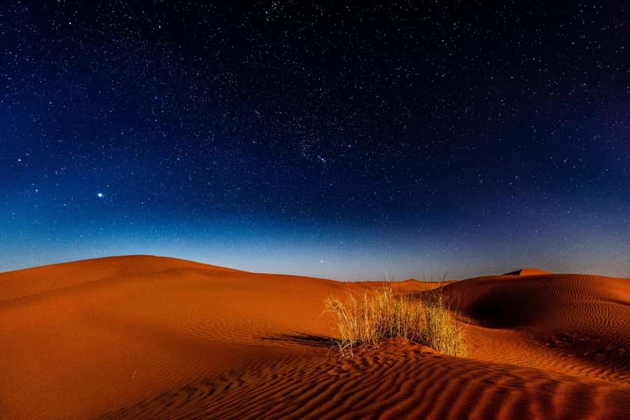 Doha: Private Desert Safari at Night with Stargazing - Key points at a glance