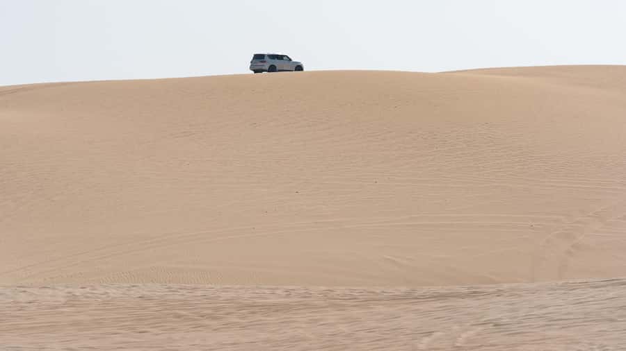 Doha:Private Desert Safari, Falcon, Sandboarding,inland sea - Key points to know before booking