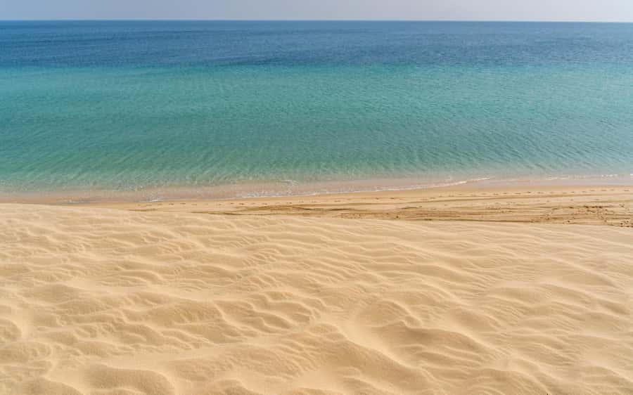 Doha:Private Desert Safari, Falcon, Sandboarding,inland sea - Who should book this desert safari?