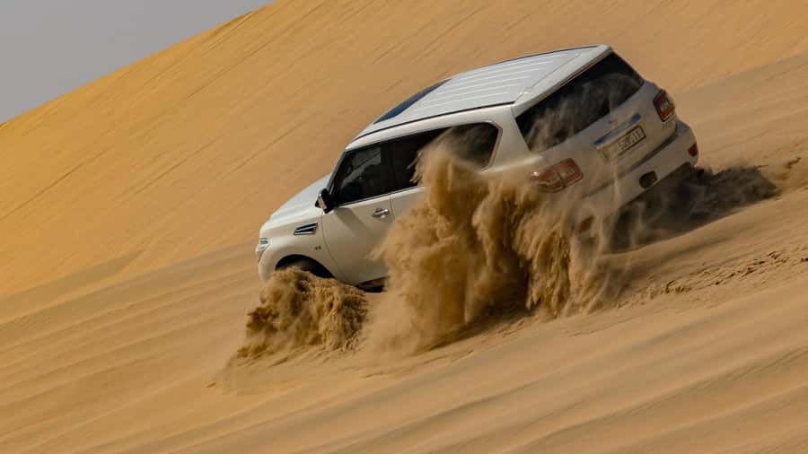 Doha:Private Desert Safari, Falcon, Sandboarding,inland sea - From Doha to Sealine Beach in about 50 minutes