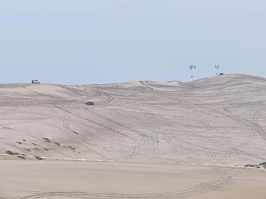 Doha:Private Desert Safari, Falcon, Sandboarding,inland sea - What the guide adds to a private trip
