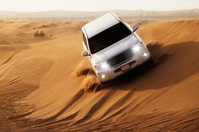 Doha: Private Half Day Desert Safari Tour in Qatar - What the $58 price gives you