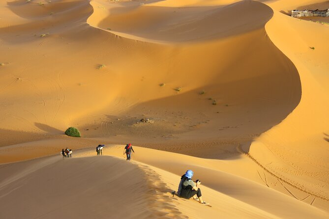 Doha Private Half-Day Guided Desert Safari Tour - Sealine Beach, camel photos, falcons, and tea