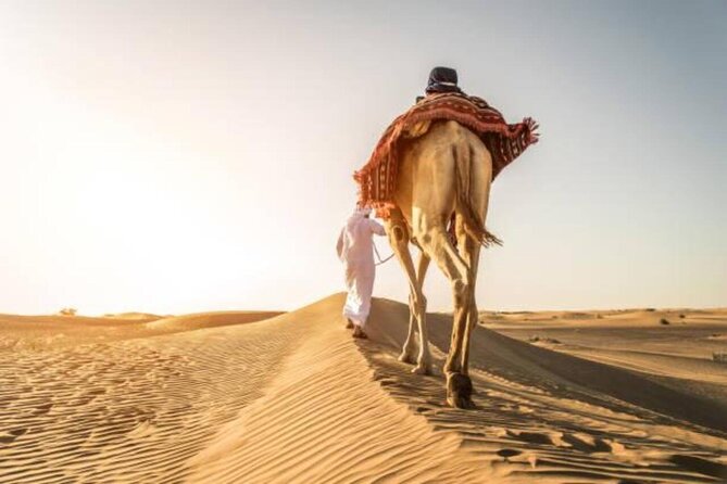 Doha Qatar ATV Quad Bike Buggy Desert Adventure and Camel Ride - Safety, comfort, and the private format