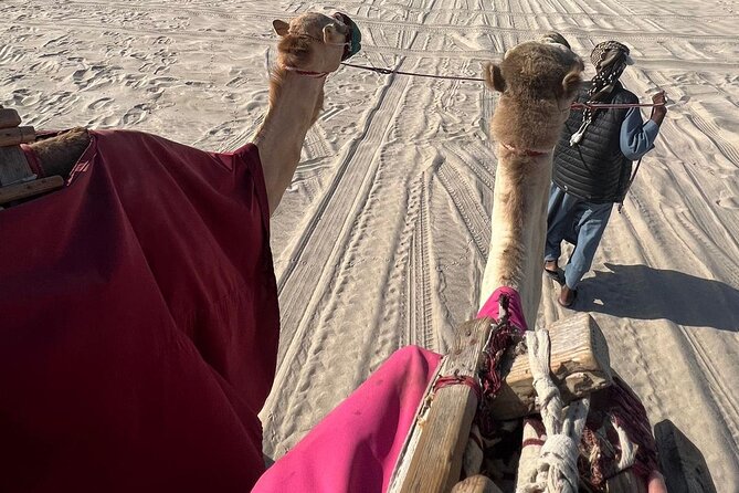Doha Qatar ATV Quad Bike Buggy Dune Bashing and Camel Ride - Sandboarding and the first round of dune bashing