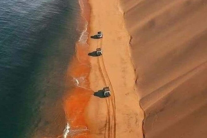 Doha Quad Bike, Dune Bashing, Camel Ride and Inland Sea Tour - My booking advice