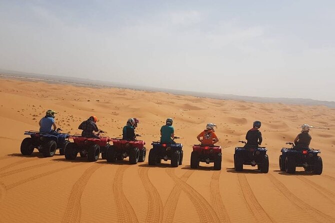 Doha Quad Bike, Dune Bashing, Camel Ride and Inland Sea Tour - Sealine brings together the main activities