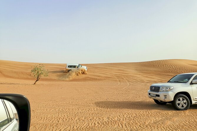 Doha Quad Bike, Dune Bashing, Camel Ride and Island Sea Tour - Is $100 good value for four hours?