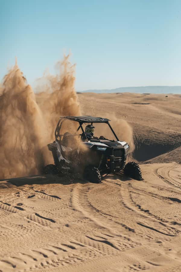 Doha: Quad Bike, Dune Bashing, Camel Ride & Inland Sea Tour - Should you book it?