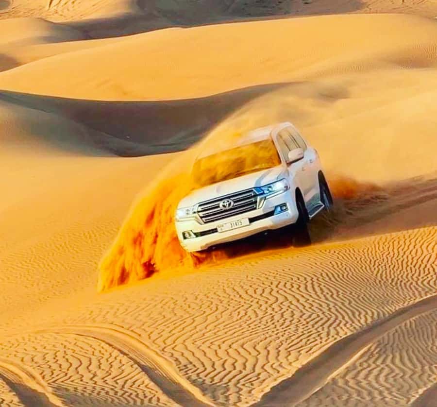 Doha: Relax Desert Safari, Camel Ride, Inland Sea, Swimming - Guides make the difference