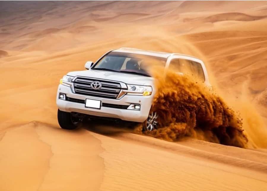 Doha: Relax Desert Safari, Camel Ride, Inland Sea, Swimming - Mesaieed brings the first activity stops