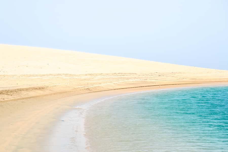 Doha: Safari, ATV, Camels, Sandboarding and Inland Sea Tour - Khor al Adaid, where sand meets water