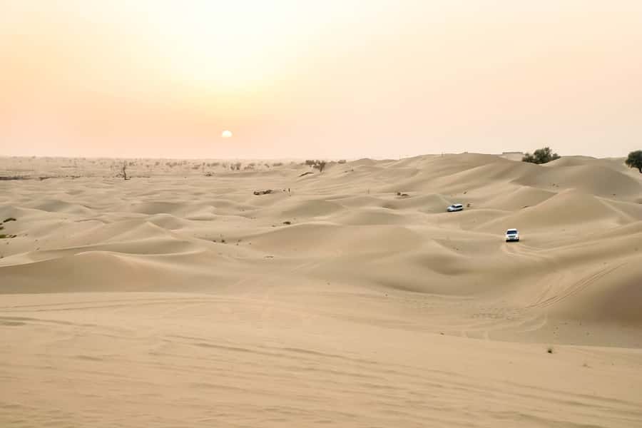 Doha: Safari, ATV, Camels, Sandboarding and Inland Sea Tour - Should you book the OceanAir Travels tour?