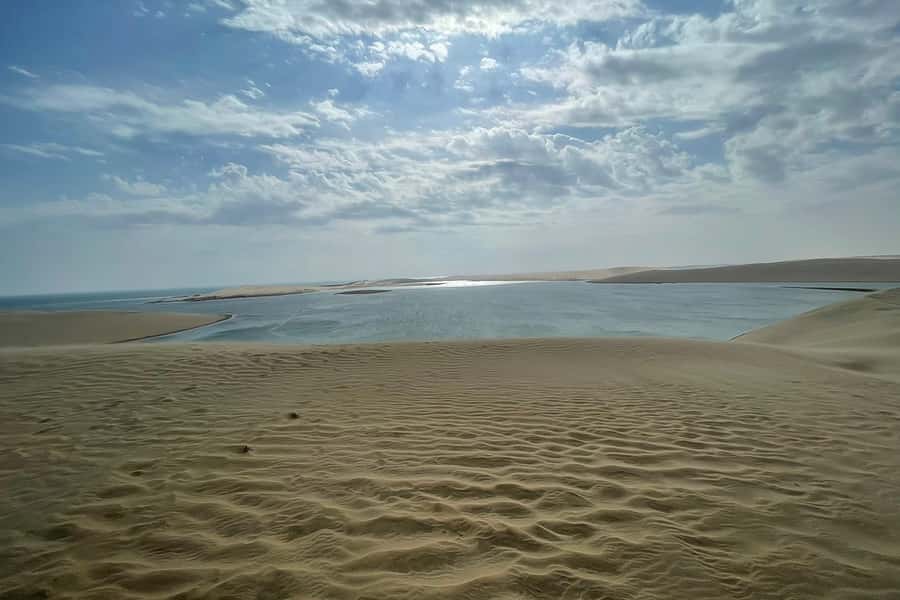Doha Safari: ATV Ride, Dune Bashing, & Sandboarding Fun - Dune bashing at Qatar’s Inland Sea