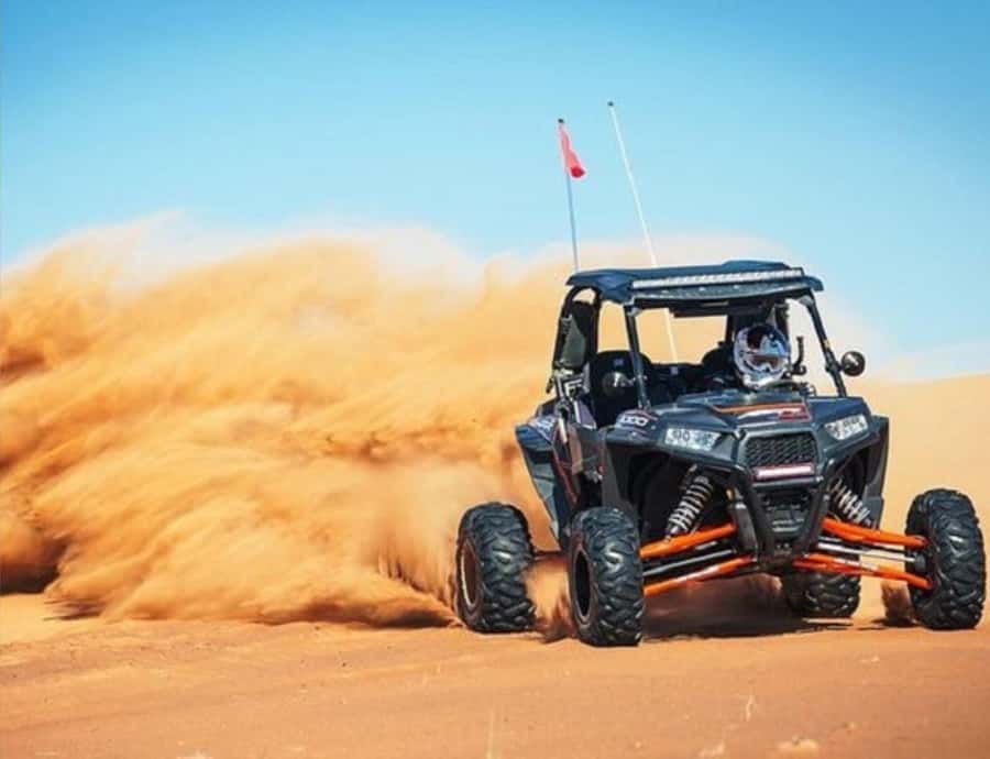 Doha: Safari, Camel Ride, Sandboarding and Inland Sea Tour - Camel riding gives the outing a quieter rhythm