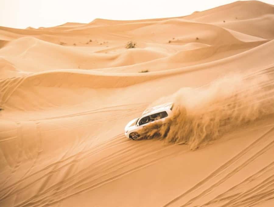 Doha: Safari, Camel Ride, Sandboarding and Inland Sea Tour - Sunset, photographs, and the desert meeting the Gulf