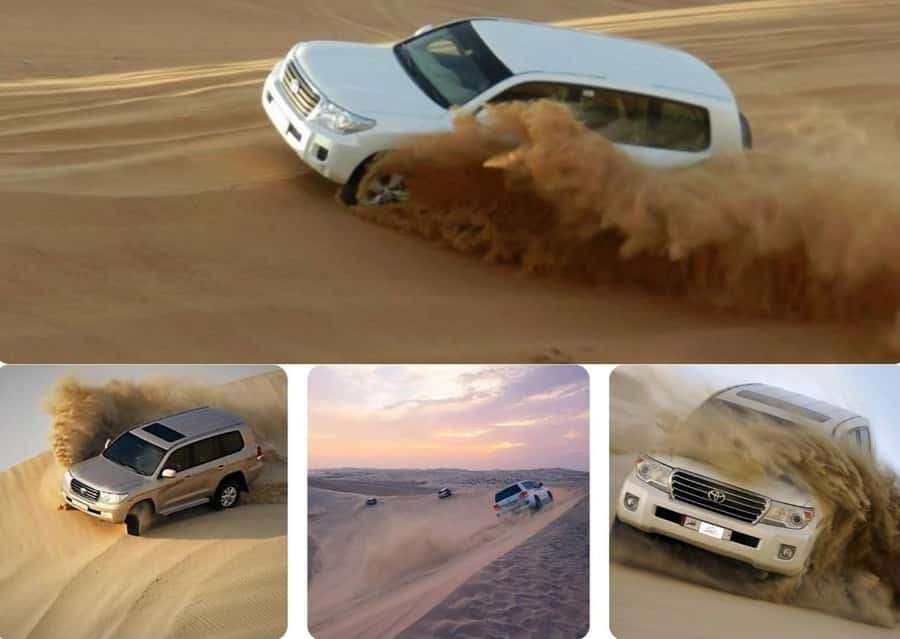 Doha: Safari, Camel Ride, Sandboarding and Inland Sea Tour - Who will enjoy this four-hour desert trip