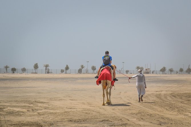 Doha: Safari, Dune bashing, Camel Ride, Sandboarding & Inland Sea - Sandboarding on Qatar’s tall dunes