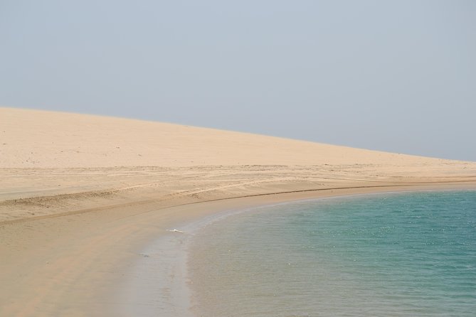 Doha: Safari, Dune bashing, Camel Ride, Sandboarding & Inland Sea - Khor Al Adaid, where sand reaches the sea