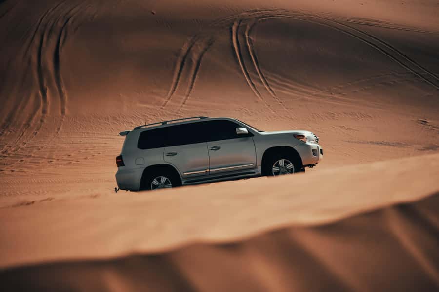 Doha:Safari Tour with Lunch/Dinner in Desert by the Sea Side - Dune bashing and sandboarding on soft sand
