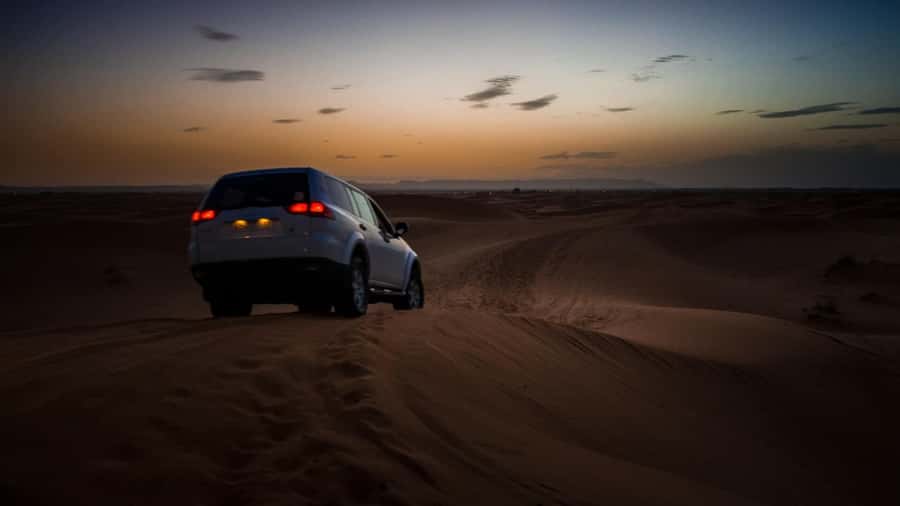 Doha:Safari Tour with Lunch/Dinner in Desert by the Sea Side - Who will enjoy this private Qatar safari