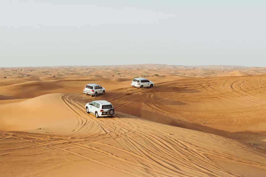 Doha:Safari Tour with Lunch/Dinner in Desert by the Sea Side - Should you book this Doha desert tour?