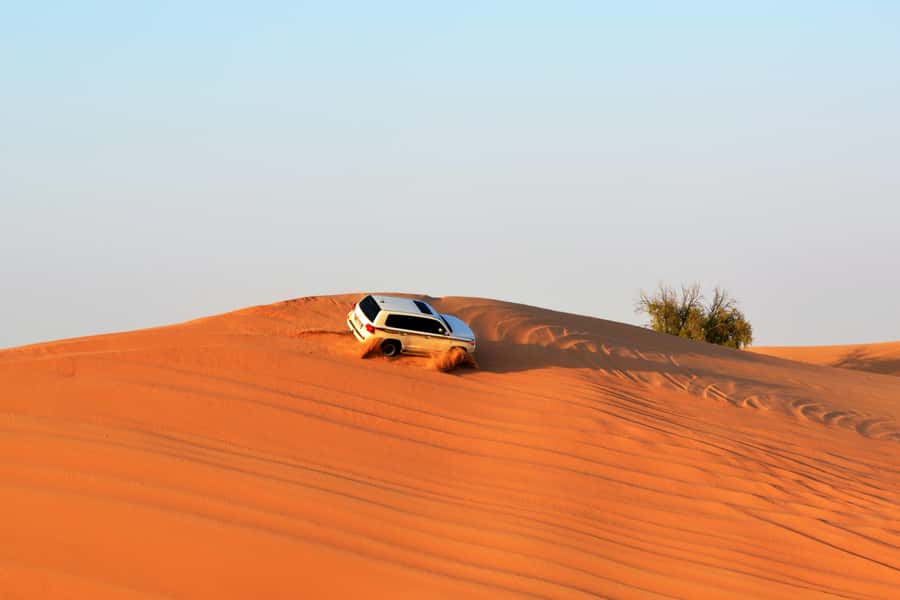 Doha:Safari Tour with Lunch/Dinner in Desert by the Sea Side - FAQ