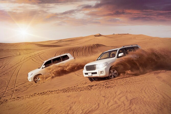 Doha Sharing Desert Safari with Dune Bashing and Sand Boarding - Sealine Beach: tea, camels, falcons, and tire pressure