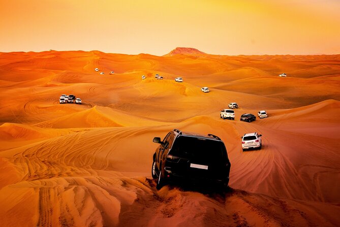 Doha Sharing Desert Safari with Dune Bashing and Sand Boarding - What the guides add to the experience