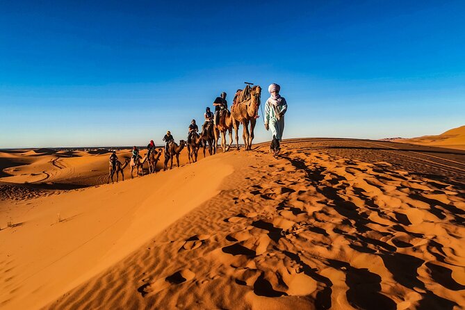Doha Sunrise Desert Safari Tour| Dune Bashing| Inland Sea visit| Camel Riding - Leaving Doha in a private 4WD