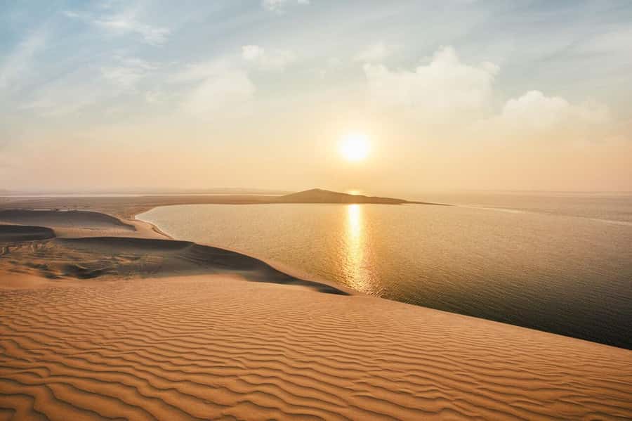 Doha:Sunrise or Sunset Desert Safari Tour with Sand Boarding - Dune bashing with a skilled driver