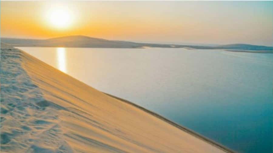 Doha :Sunrise/ Sunset Desert Safari CamelRide & Sandboarding - Dune bashing with an experienced driver