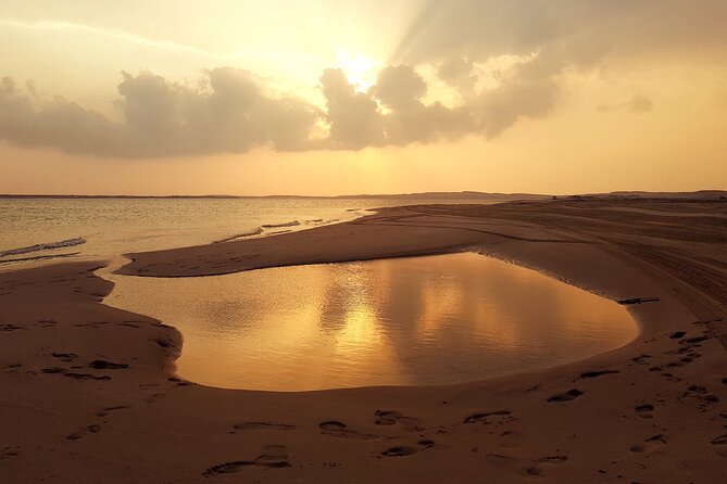 Doha: Sunrise /Sunset Desert Safari with Sand Boarding,Camel ride - From Doha to the open sand